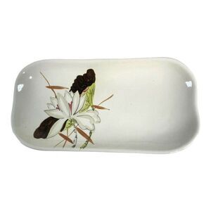 Red wing Pottery Lotus c 1940 Appetizer Serving Tray Celery Plate Hand Painted